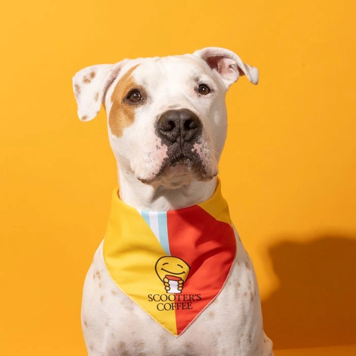 Super Scooter™ Pet Bandana of scooters menu